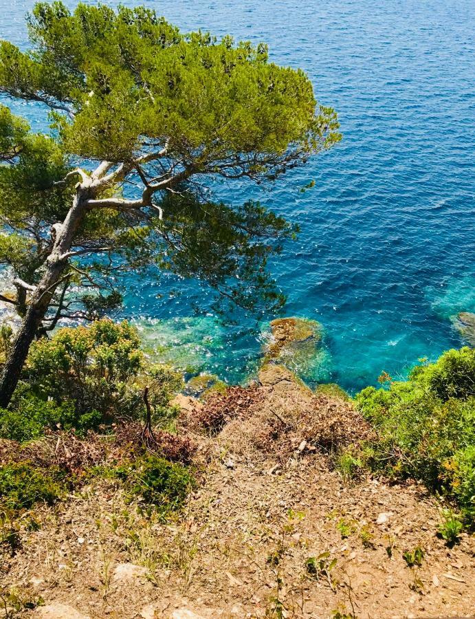 Apartamento Mazet « Domaine De La Pinede » Le Lavandou Exterior foto